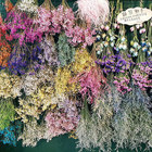 尼巴熊咖啡 Mud bear Cafe