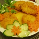 嘉義大埔魚虎之家