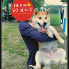 GoGo WaterWorld 狗狗水世界