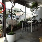 糖菓咖啡與有時烤鬆餅