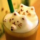 理性與感性咖啡