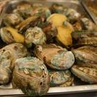 海村澎湖活海鮮