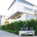 嘎嗶惦 Carpe Diem