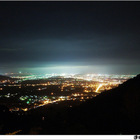 達喇尉森林咖啡園