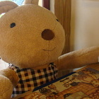 咖啡魚Coffee fish 歐式 咖啡館