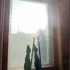 薄荷午茶輕食吧