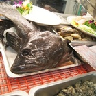 魚村龍膽石斑專賣店