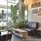 Tzemdas Kaffa 手作.獨立思考咖啡