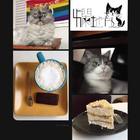 爛地方 Never Better