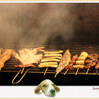 新口味專業碳烤