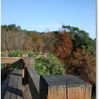 菁山遊憩區西餐廳