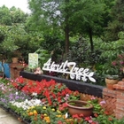 四月樹園藝咖啡