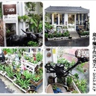 烏牛欄手作巧克力