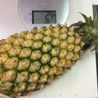 林秋堂關廟鳳梨