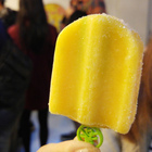 春一枝-台北松菸