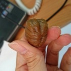 爭先有機天津甘栗