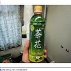 黑松茶花綠茶(無糖)