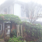 圓山草堂假日藝術家咖啡館