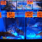 喝桶海台啤專賣店