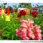 綠盈牧場觀景餐廳