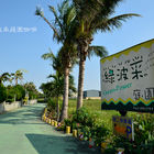 綠波采庭園咖啡