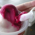 阿婆金牌蘆薈仙人掌冰