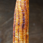 香香現烤珍珠玉米