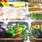 雞舍鹹水雞(元：雞婆鹽水雞)