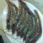 名家汕頭沙茶火鍋