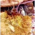 黃金點頭雞(凱旋夜市)