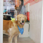 貝比多寵物友善餐廳