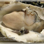 澎湖郭家賜福生蠔