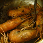 黃金海岸活蝦之家(蘆洲店)