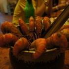 金海岸活蝦之家(民權店)