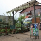 鐵道咖啡景觀台