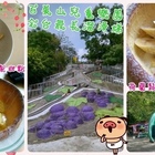 打食咖啡 daze coffee