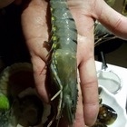 呷蝦米嚴選海鮮火鍋