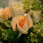 大統和平店(貴賓廳)