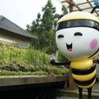 清境蜜蜂故事六號館