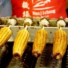 南機場夜市烤玉米