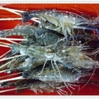 輝蓬搏魚釣蝦休閒中心