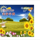 美奇早餐 Maggie's House