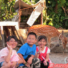 綠島小丸子羊肉爐