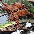 山豬亮阿里山鄒族烤肉團隊