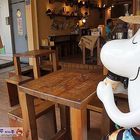 cama 現烘咖啡專門店(屏東站前店)