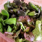 NICE GREEN美蔬菜廚房(BELLAVITA)