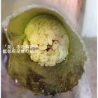 奈手卷-韓式飯捲專賣店(文林店)