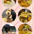 餅乾缺一角 cookies missing