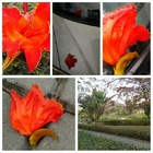 愛波飲樂(樹德店)