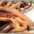 COSTCO好市多-韓國現烤魷魚